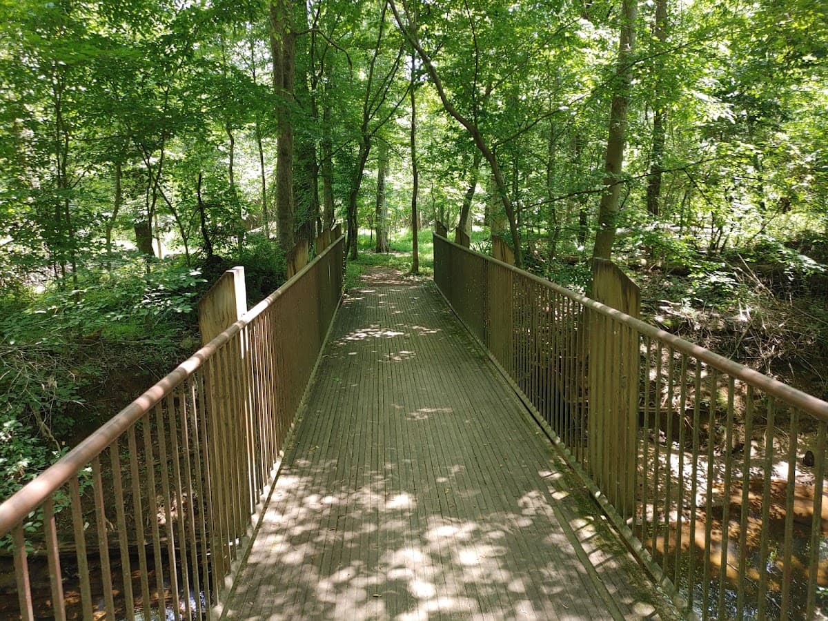 Big Creek Greenway - Alpharetta, GA